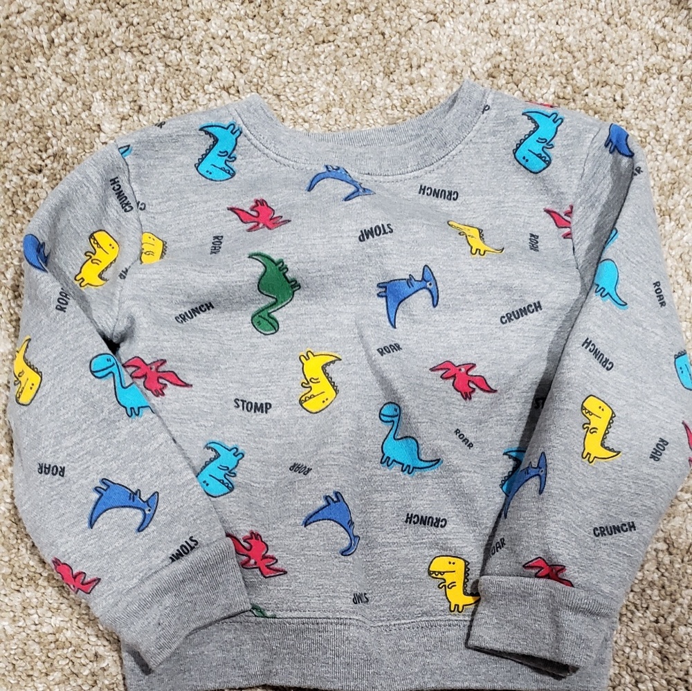 Dinosour Sweats toddler boy set